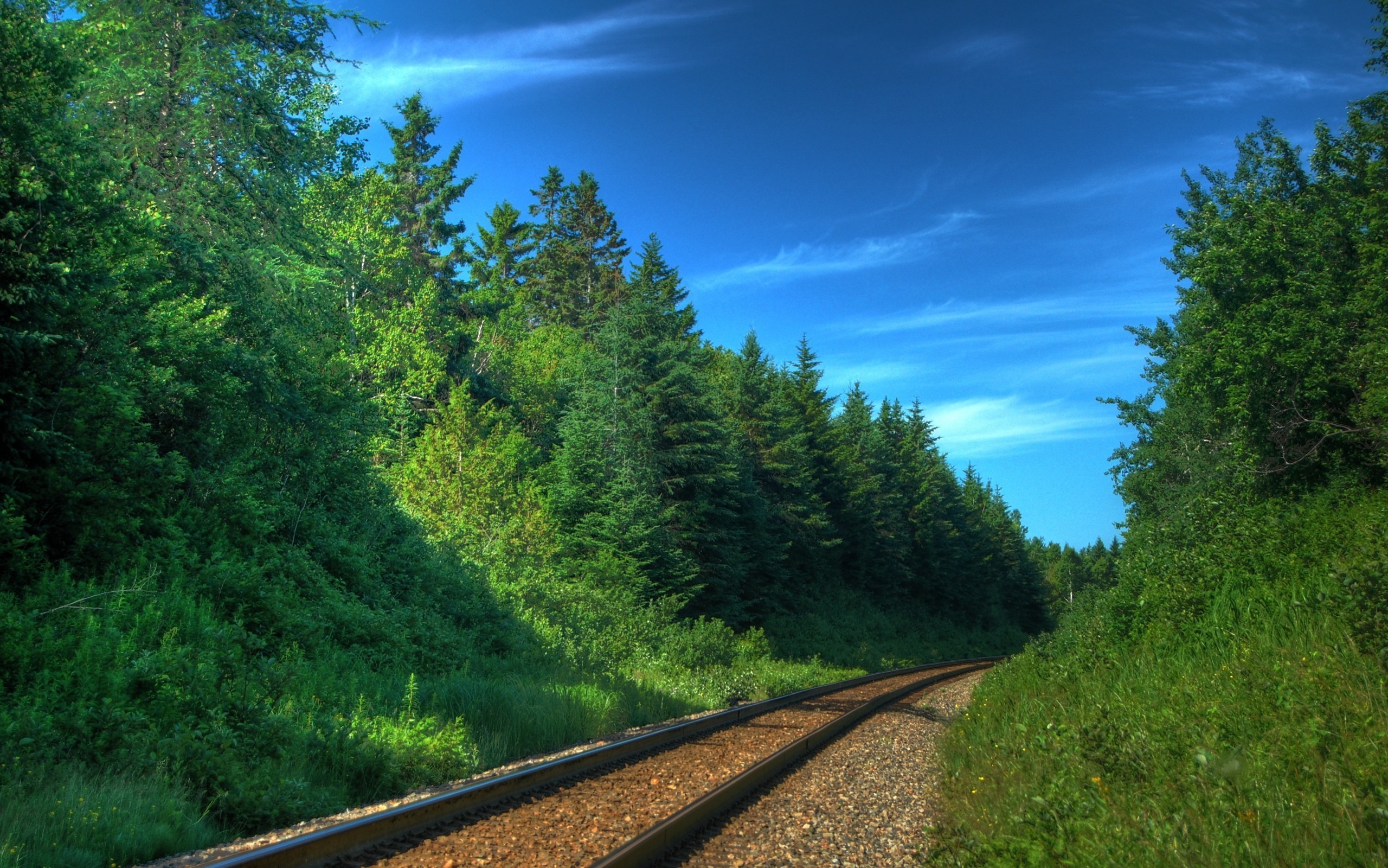 railway-in-the-forest.jpg